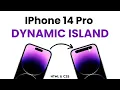 IPhone 14 pro Dynamic Island in HTML CSS CSS Tutorial FrontendDUDE