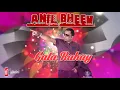 Download Lagu The Vocalist Anil Bheem - Gata Rahe Mera Dil - Bollywood Cover