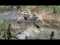 Download Lagu Berpacu melawan arus air dan derasnya hujan untuk selesaikan perangkap ikan hidup di hutan