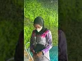 Download Lagu sasirangan banjarmasin kalsel ini bos ku #banjarmasin #kalsel #sasirangan