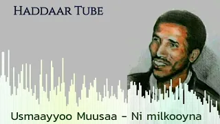 Best Oromo Music Usmaayyoo Muusaa Ni Milkooyna Haddaar Tube 