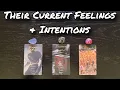 💗 Their Current Feelings \u0026 Intentions | Pick A Card Love Reading 