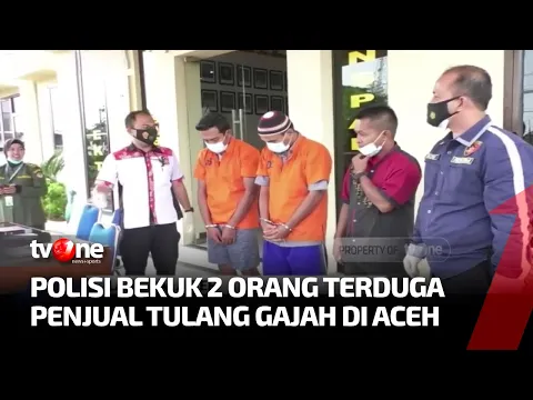 Polisi Bekuk Dua Tersangka Penjual Tulang Belulang Gajah