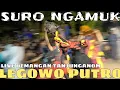 Download Lagu Mr. BENJO MAESTER JARANAN LEGOWO PUTRO LIVE BENDO