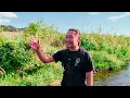 幻の天然ニホンイシガメを探し続けて約2,000km···まさかの結末に···！