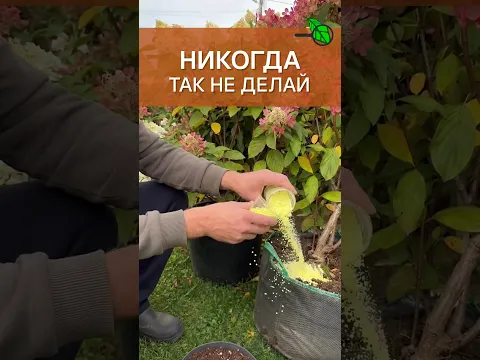 😱 ЭТОМУ НЕ УЧАТ В ИНСТИТУТАХ! Уникальный осенний метод, который сделает вашу почву ИДЕАЛЬНОЙ