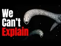 Download Lagu The Deeper You Go, The Creepier Prehistoric Oceans Get