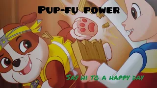 storytelling pup fu power paw patrol
