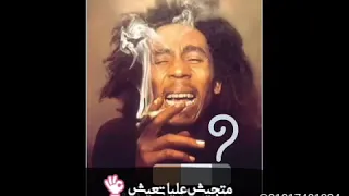 حاله واتس  حشيش مفيش معنديش خل خلاااص   دندنها