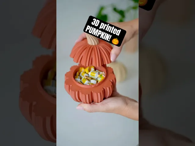 PUMFOLD minimalist pumpkin storage box I dose video thumbnail