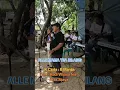 Download Lagu Lagu Langgam Daerah Makassar SKN Project Celebes Makassar Sulawesi Selatan🇮🇩