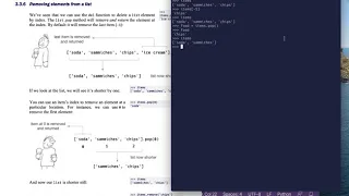 Tiny Python Projects Ch 3 Pt 9 Removing elements from a list