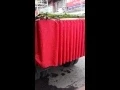 How to make Float for parade with skirting and using water lily as a floral foam
