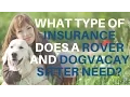 What Type Of Insurance Does A Rover and DogVacay Pet Sitter Need