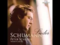 Dichterliebe, Op. 48: No. 7, Ich grolle nicht