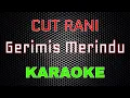 Download Lagu Cut Rani - Gerimis Merindu [Karaoke] | LMusical
