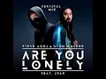 Are You Lonely feat. ISAK (Erick Palacios Festival Mix) - Steve Aoki & Alan Walker
