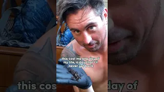 Sailboat Generator Problems #sailboat #generator #boatmaintenance #sailingbyefelicia