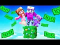 Minecraft But It s One Money Block