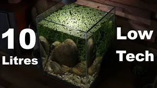 Download Aquarium 10L low tech MP3