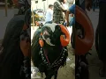 Download Lagu davanagere tagaru , 🐐# goat # race# Karnataka # race# black # goat