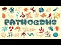 What Is A Pathogen