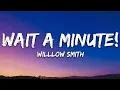 Download Lagu Willow Smith - Wait a Minute! (Lyrics)