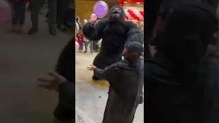 بص الغوريلا عملت اى اكسبلور جديد مهرجانات ارقص Panda تيك توك Artist ترند فولو لايك 