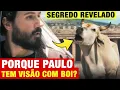 Download Lagu PAULO, O APÓSTOLO - POR QUE UM BOI APARECIA PARA PAULO? E O QUE ELE BEIJA NA PORTA?