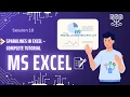 SPARKLINES in Excel - Complete Tutorial