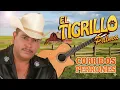 🔥 El Tigrillo Palma | Corridos Perrones de Pura Calidad 💯 ¡Grandes Éxitos!
