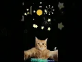 Download Lagu https://vt.tiktok.com/ZSLWrHFYA/