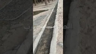 صوت الساقية في المزرعة 