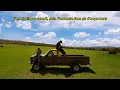 GreenWoodz - Braise // Visualizer officiel