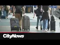 Spring break means one of year s busiest travel times
