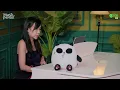 The Single《告別式》Teddy Fan