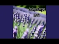 Download Lagu kelopaknya lirih