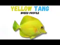 Yellow Tang Fish Care Guide Tank Setup Feeding Compatibility Lifespan