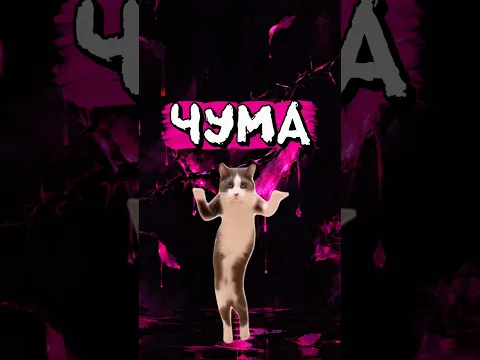 ЧУМА 23 ОКТЯБРЯ 🖤