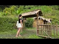 Tieu Ly - a 22 year old girl left the luxurious city to return to the countryside to build a farm.