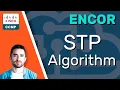 CCNP ENCOR Spanning Tree Protocol STP Algorithm ENCOR 350-401 Complete Course
