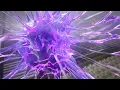 Organ on Chip Animation Multi-Electrode Array Chip Technology