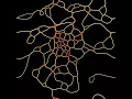 Simulation of Ant Path Dynamics III
