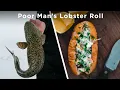 How To Cook A Burbot Poor Man s Lobster Roll
