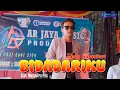 Download Lagu BIDADARIKU - DEDY GUNAWAN, Cipt. Masputra Pasaribu