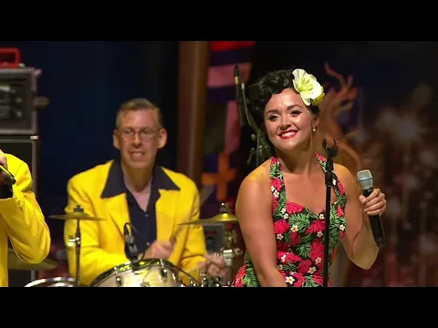 Download MP3 The Jive Aces Live - \