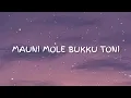 Download Lagu Mauni Mole Bukku Toni - Cover by. Leony Angel || Lirik Lagu Bugis || Terjemahan Indonesia