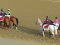Post Parade 149th running of The Travers