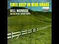 Molly and Ten Brooks (Bill Monroe)