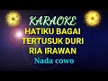 Lagu HATIKU BAGAI TERTUSUK DURI. KARAOKE. RIA IRAWAN. Nada cowo.